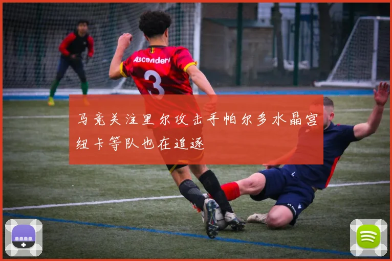 马竞关注里尔攻击手帕尔多水晶宫纽卡等队也在追逐